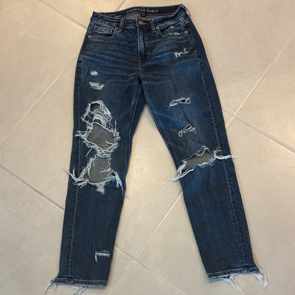 American Eagle Mom Jean, Embroidered Flower edition